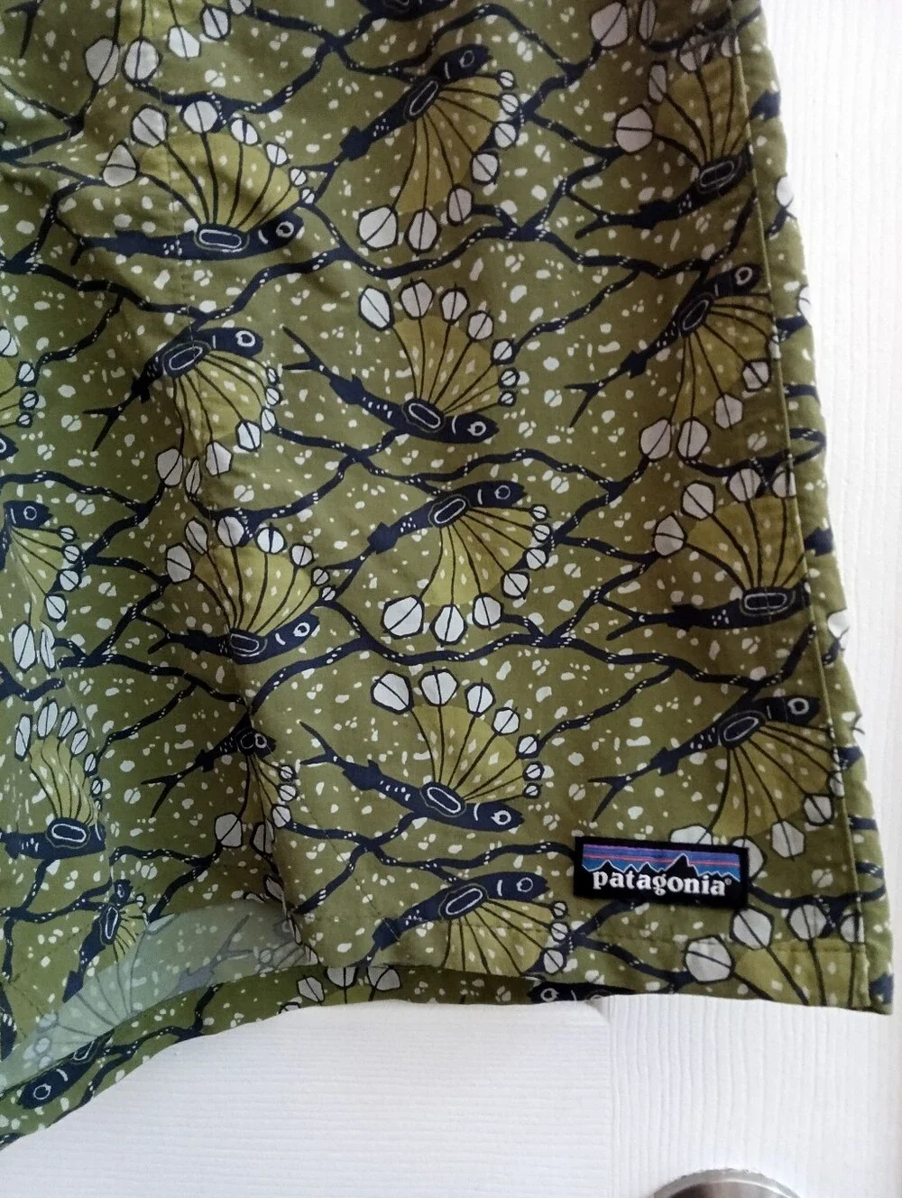 Patagonia Baggies Shorts in the 